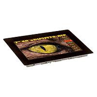 Màn hình TFT & phụ kiện