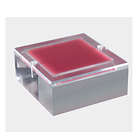 Mô hình giải phẫu