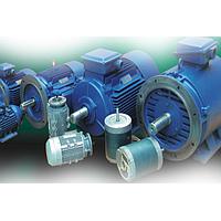 Động cơ máy bơm