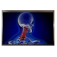 Màn hình TFT & phụ kiện