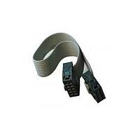 Ribbon / IDC Cables